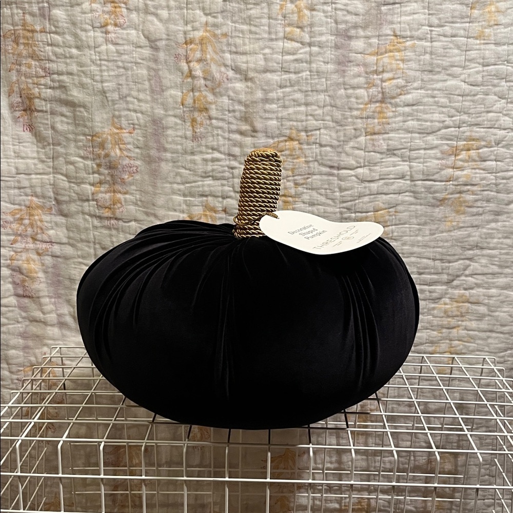 Threshold Black Velvet Pumpkin with Gold Stem